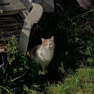 Meet your Posher, Esteban